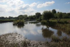1.-Downstream-from-Brampford-Speake-10
