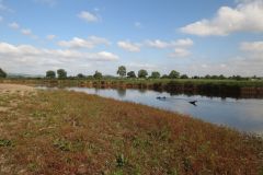 1.-Downstream-from-Brampford-Speake-11