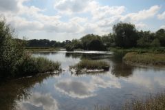 1.-Downstream-from-Brampford-Speake-12