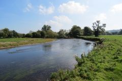 1.-Downstream-from-Brampford-Speake-14