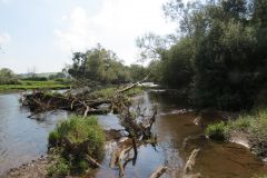 1.-Downstream-from-Brampford-Speake-16