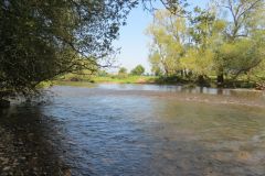 1.-Downstream-from-Brampford-Speake-17