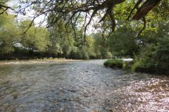 1.-Downstream-from-Brampford-Speake-18