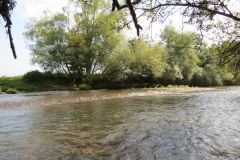 1.-Downstream-from-Brampford-Speake-19