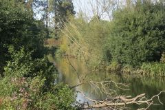 1.-Downstream-from-Brampford-Speake-4