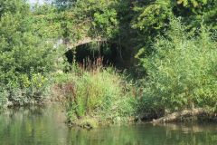 1.-Downstream-from-Brampford-Speake-6