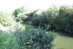 13.-Upstream-from-Lower-Millcote-rail-bridge-6
