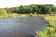 4.-Downstream-from-North-Bridge-7