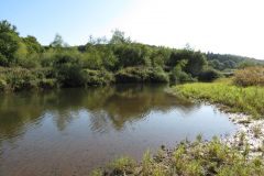4.-Downstream-from-North-Bridge-9