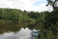 4.-Weir-upstream-from-Millers-Bridge-5