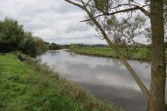 15.-Upstream-from-Countess-Wear-Bridge-3
