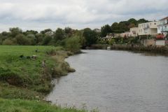 18.-Upstream-from-Countess-Weir-Bridge-1