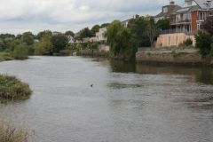 18.-Upstream-from-Countess-Weir-Bridge-2