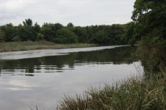 25.-Upstream-from-Topsham-4