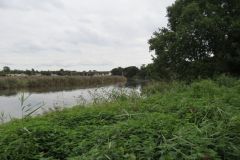27.-Upstream-from-Topsham-5