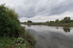 27.-Upstream-from-Topsham