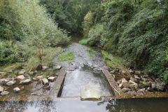 3.-St-James-Weir-salmon-ladder