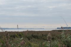34.-Downstream-from-Topsham