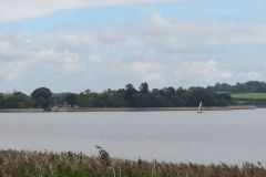 35.-Exe-Estuary-12