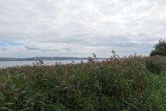 35.-Exe-Estuary-3