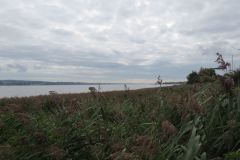 35.-Exe-Estuary-4