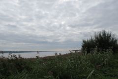 35.-Exe-Estuary-5