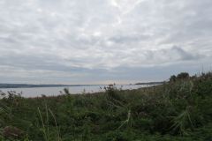 35.-Exe-Estuary-6