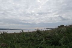 35.-Exe-Estuary-6