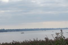 35.-Exe-Estuary-7