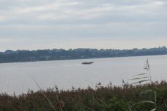 35.-Exe-Estuary-8