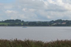 35.-Exe-Estuary-9