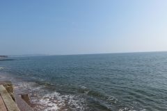 1.-Exe-Estuary-Dawlish-3