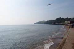 1.-Exe-Estuary-Dawlish-4