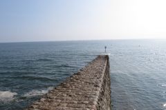 1.-Exe-Estuary-Dawlish-6