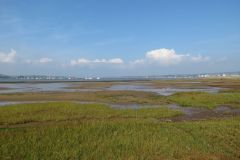 18.-Exe-Estuary-upstream-from-Dawlish-Warren-2