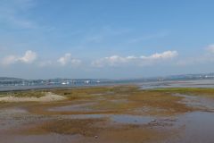 18.-Exe-Estuary-upstream-from-Dawlish-Warren-6
