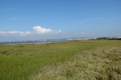 20.-Exe-Estuary-near-Starcross-2