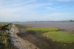 25.-Exe-Estuary-near-Powderham-2