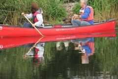 29