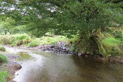 1.-Downstream-from-Sparcombe-Water-1