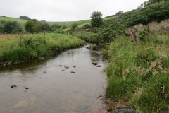 2.-Downstream-from-Sparcombe-Water-3