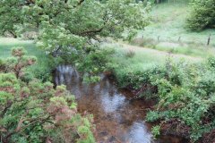 3.-Downstream-from-Sparcombe-Water