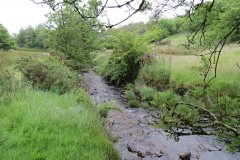 4.-Upstream-from-Westermill-Farm-1