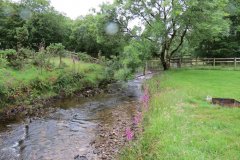 6.-Flowing-through-Westermill-Farm-campsite-1