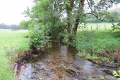 6.-Flowing-through-Westermill-Farm-campsite-2