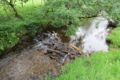6.-Flowing-through-Westermill-Farm-campsite-3