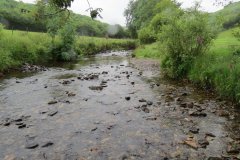 6.-Flowing-through-Westermill-Farm-campsite-6