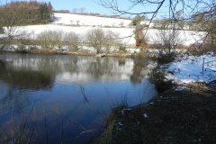 13.-Pond-upstream-from-Westermill-Farm