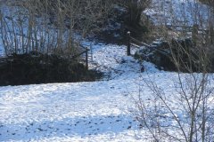 33.-Riscombe-House-Footbridge