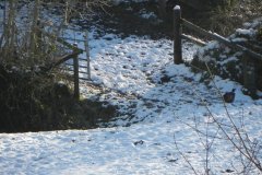 34.-Riscombe-House-Footbridge